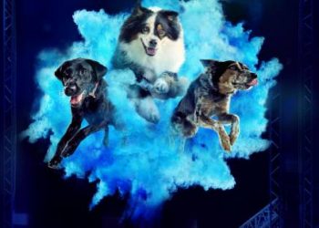 The Second Season of “America’s Top Dog” Premieres Tuesday, June 29, 2021 @ 8PM on A&E