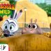 Peacock Releases the Trailer for the Fourth Season of “Madagascar: A Little Wild” [VIDEO]