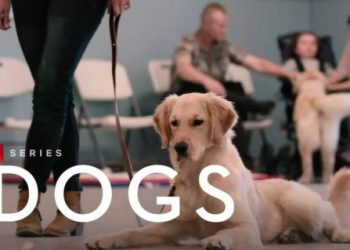 The “Dogs” Docuseries Returns with New Episodes July 7 on Netflix [VIDEO]