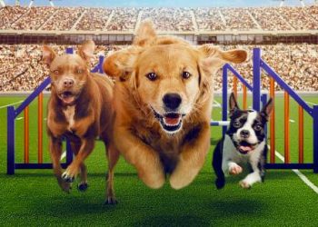 Just in Time for Summer! “Puppy Bowl Presents: The Summer Games” Streams July 31 on discovery+