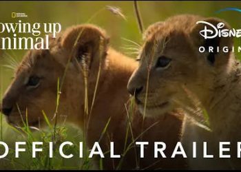 Official Trailer and Key Art for “Growing Up Animal,” The National Geographic Original Series for Disney+, Available Now [VIDEO]