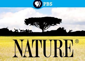 “Nature” Celebrates 40 Years with New Season