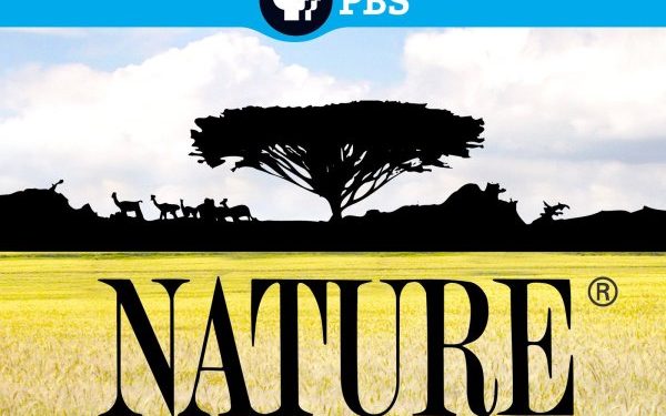 “Nature” Celebrates 40 Years with New Season
