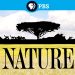 “Nature” Celebrates 40 Years with New Season