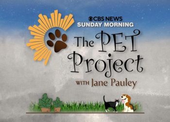 “CBS Sunday Morning” Celebrates America’s Love Of Animals in All Shapes and Sizes in a One-Hour Primetime Special, “The Pet Project,” Friday, September 3 on CBS