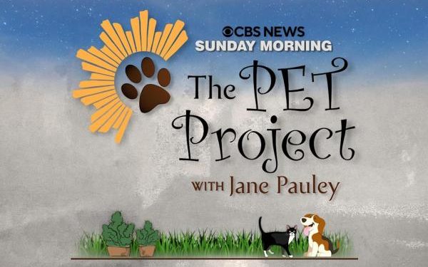 “CBS Sunday Morning” Celebrates America’s Love Of Animals in All Shapes and Sizes in a One-Hour Primetime Special, “The Pet Project,” Friday, September 3 on CBS