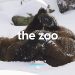 Animal Planet’s Fan-Favorite Series “The Zoo” Returns for Fifth Season Full of Heart-Felt Homecomings, New Additions to the Bronx Zoo Family, and More [VIDEO]