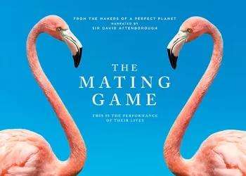 Let’s Get It On! The All-New Landmark Series “The Mating Game” Launches November 21 on discovery+