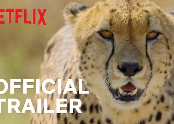 Official Netflix Trailer for “Animal” [VIDEO]