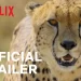 Official Netflix Trailer for “Animal” [VIDEO]
