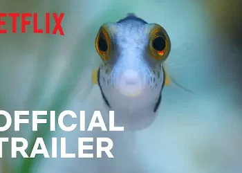 Official Netflix Trailer for “Puff: Wonders of the Reef” Starts Streaming December 16 [VIDEO]