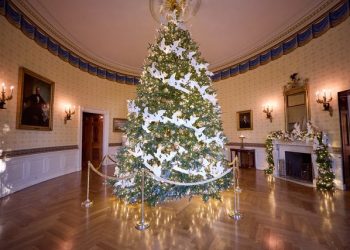 Netflix Is A Joke: The Festival Announces Initial Lineup for 2022 Festival