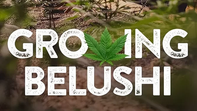 High Stakes for Belushi’s Farm in an All-New Season of “Growing Belushi” Premiering January 19 on Discovery