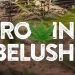 High Stakes for Belushi’s Farm in an All-New Season of “Growing Belushi” Premiering January 19 on Discovery