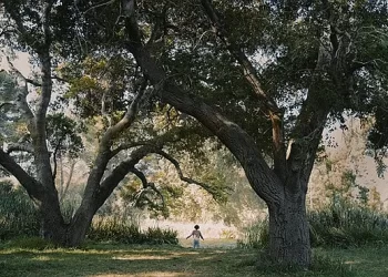 “Kindred” Ordered to Series by FX