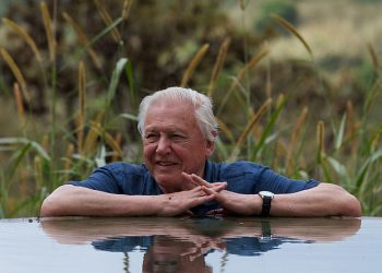 TONIGHT! New Series “Attenborough’s Global Adventure” Saturday, February 12 @ 8PM on BBC America
