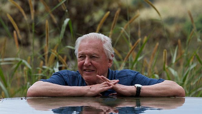 TONIGHT! New Series “Attenborough’s Global Adventure” Saturday, February 12 @ 8PM on BBC America