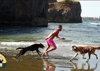 Modern-Day Noah’s Ark Comes to Life in The All-New Series “My Pack Life” Featuring Lee Asher’s Animal Sanctuary, The Asher House