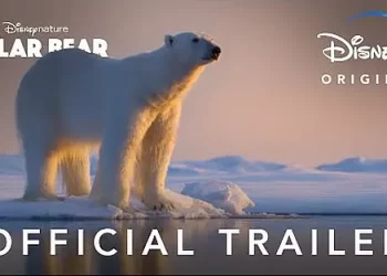 Disneynature Reveals New Conservation Initiative as Disney+ Debut of “Polar Bear” Approaches [VIDEO]