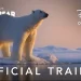 Disneynature Reveals New Conservation Initiative as Disney+ Debut of “Polar Bear” Approaches [VIDEO]