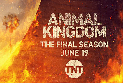 TNT Announces the Sixth and Final Season of “Animal Kingdom” Premiering Sunday, June 19 @ 9PM ET/PT