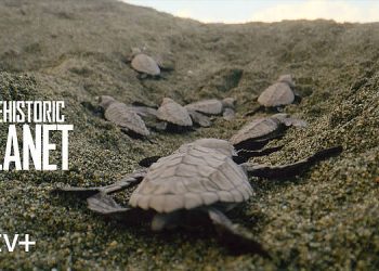 Apple TV+ Reveals First Look at Epic Natural History Event Series “Prehistoric Planet” [VIDEO]