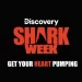 Get Your Heart Pumping! “Shark Week” Begins Sunday, July 24 on Discovery [VIDEO]