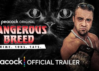 Peacock Debuts the Official Trailer for True Crime Original Documentary “Dangerous Breed: Crime. Cons. Cats.”