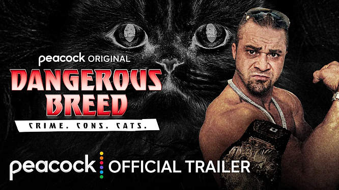 Peacock Debuts the Official Trailer for True Crime Original Documentary “Dangerous Breed: Crime. Cons. Cats.”