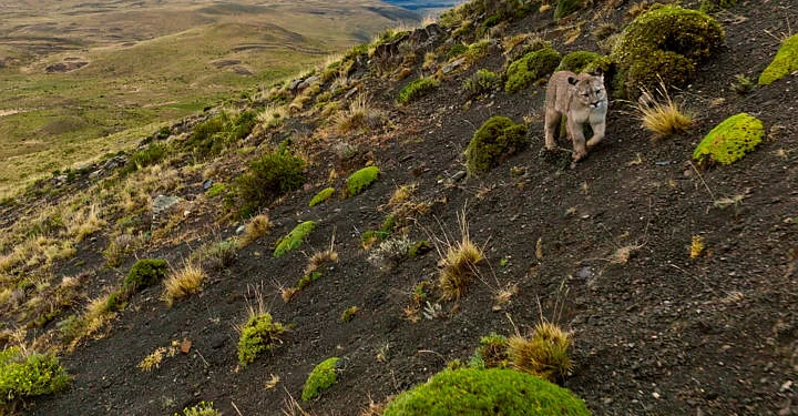 Netflix Expands Natural History Slate with Six New Documentary Series, Beginning November 22 with “Our Universe” [VIDEO]