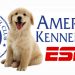 ESPN and the American Kennel Club Renew Media Rights Relationship for Telecasts of Dog Competitions