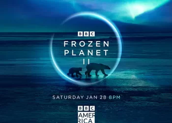Breathtaking And Thrilling Landmark Natural History Series Frozen Planet Ii Premieres This Saturday On BBC America And AMC+ [VIDEO]
