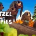 Apple TV+ Debuts Season Two Trailer for Fan-Favorite Animated Series “Pretzel and the Puppies,” Ahead of the Global Debut on Friday, February 24 [VIDEO]