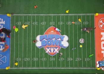 Team Fluff has Taken Home the Coveted “Lombarky” Trophy in the 2023 Puppy Bowl