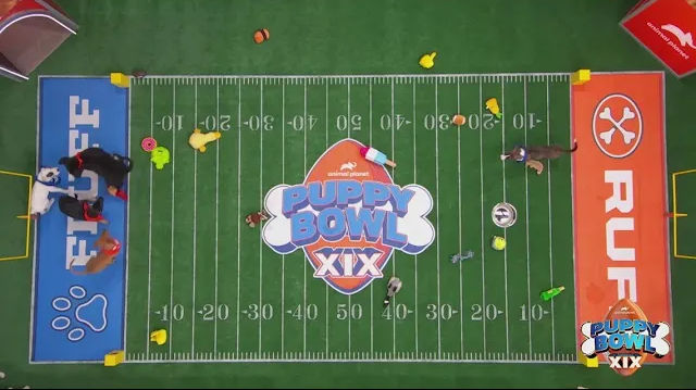 Team Fluff has Taken Home the Coveted “Lombarky” Trophy in the 2023 Puppy Bowl