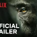 Official Netflix Trailer for “Chimp Empire” Narrated by Academy Award Mahershala Ali [VIDEO]