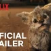 Official Netflix Trailer for “Chupa” [VIDEO]