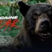 The Box Office Hit “Cocaine Bear” will Stream Exclusively on Peacock Streaming Starting April 14 [VIDEO]