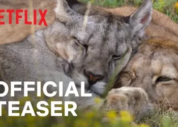 Official Netflix Trailer for “Our Planet II” [VIDEO]