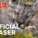 Official Netflix Trailer for “Our Planet II” [VIDEO]