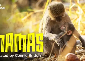 “Mamas” Season 2 Official Trailer – Available on The Roku Channel on May 12 [VIDEO]