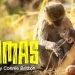 “Mamas” Season 2 Official Trailer – Available on The Roku Channel on May 12 [VIDEO]