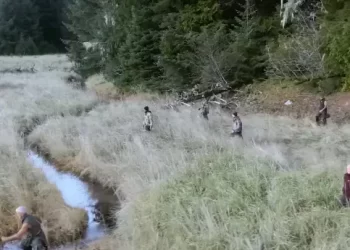 Netflix Renews “Outlast” for Season 2