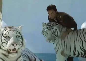 “Siegfried & Roy: The Original Tiger Kings” Leads July 2023 Premieres Presenting Their Groundbreaking Legacy of Big Cat Magic and Revealing the Secrets They Kept