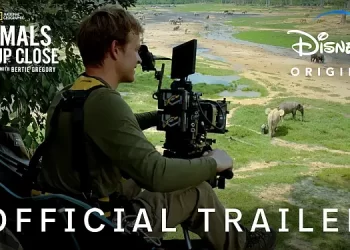 National Geographic Explorer and Award-Winning Filmmaker Bertie Gregory Takes Viewers to Remote Corners of Our Planet to Witness the Most Astonishing, Never Before Seen Wildlife Moments in “Animals Up Close with Bertie Gregory” [VIDEO]