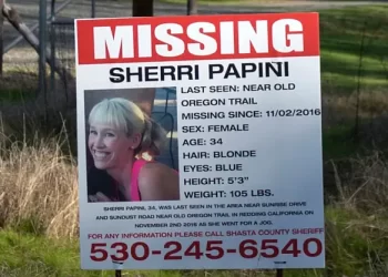 Hulu Sets Next Documentary Series on the Sherri Papini Disappearance Story