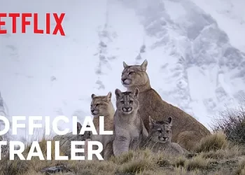 Official Netflix Trailer for the Wildlife Documentary Series “Predators” [VIDEO]