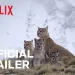 Official Netflix Trailer for the Wildlife Documentary Series “Predators” [VIDEO]