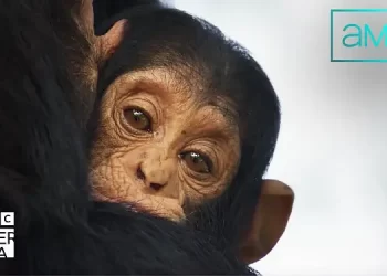 Extended First-Look Trailer and Musical Lineup Unveiled for Epic and Breathtaking Landmark Natural History Series “Planet Earth III” [VIDEO]