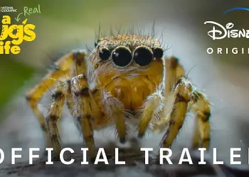 National Geographic Releases Premiere Dates and Trailers for Its Fall/Winter Slate Ahead of Its New York City Content Showcase [VIDEOS]